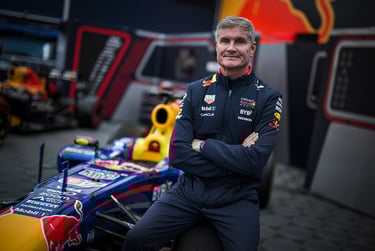 Davidas Coulthardas Red Bull