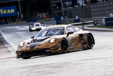 Porsche Le Manas WEC
