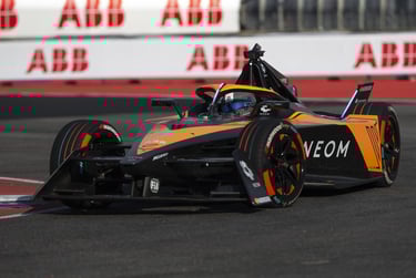 Samas Birdas McLaren