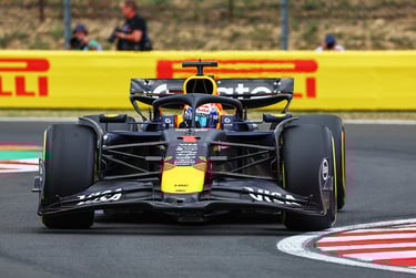 Maxas Verstappenas Red Bull