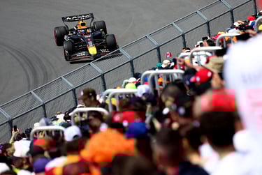 Maxas Verstappenas Red Bull