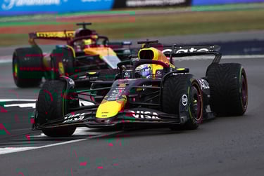 Maxas Verstappenas Red Bull
