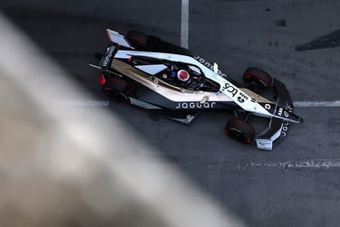 Mitchas Evansas Jaguar