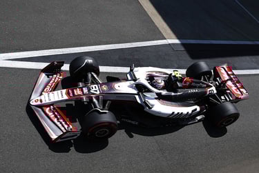 Oliveris Bearmanas Haas