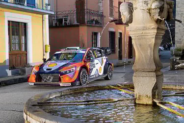 Ottas Tanakas Hyundai