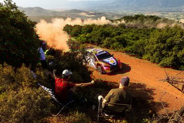 Ottas Tanakas Hyundai