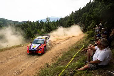 Ottas Tanakas Hyundai