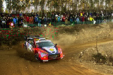Ottas Tanakas Hyundai