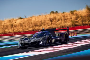 BMW WEC