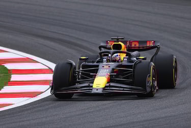 Maxas Verstappenas Red Bull