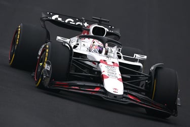 Maxas Verstappenas Red Bull