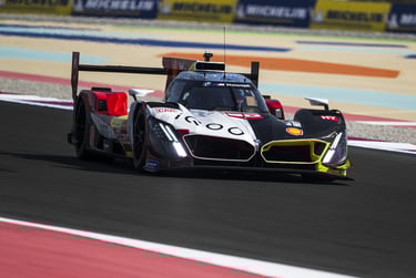 WEC BMW prologas