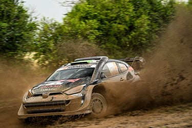 Elfynas Evansas Toyota