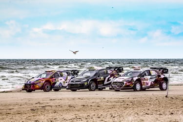 WRC ralis