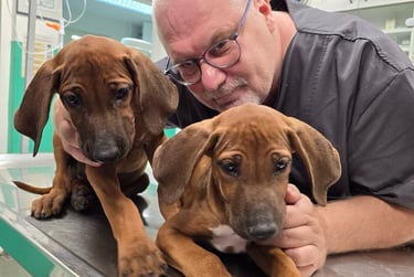 Dr Vladimir Ćirković