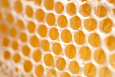 Cire d'abeille