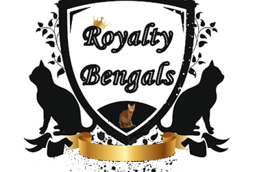 Royalty Bengals logo featuring a crest with cat silhouettes and a spotted Bengal kitten.