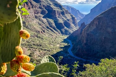 Barranco de Guayadeque