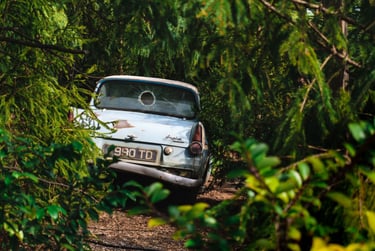 Coche Ford Anglia clásico abandonado con la luneta trasera rota, escondido en un denso bosque verde