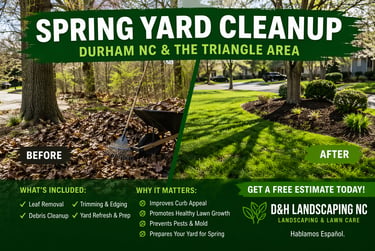 Spring yard cleanup service before and after in Durham NC removing leaves and improving lawn appearance