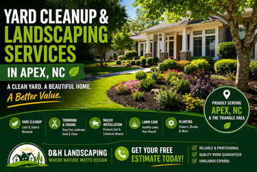 Professional yard cleanup and landscaping service in Apex NC improving lawn and curb appeal