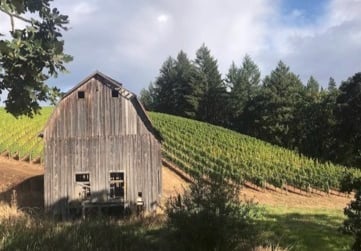 Visit Colene Clemens Vineyards