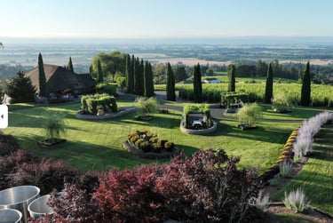Visit White Rose Winery and Estate Vineyard 