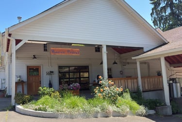 Visit Beaux Freres Vineyard