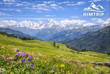 Dayara Bugyal Trek - Himtrip