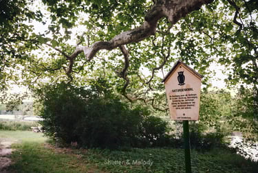 Naturschutzgebiet-Schild neben einem riesigen Ast.