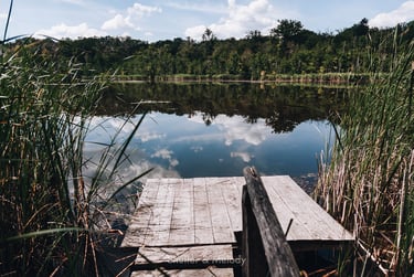 A lake on a sunny day with a wooden pier.