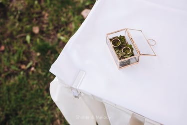 Wedding bands in a glass box on a table.