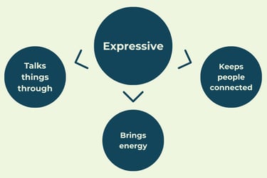 Diagram of expressive communication style showing traits like bringing energy and keeping people connected.
