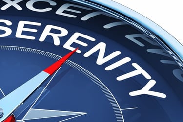 a compass - shaped compass with the words cybersevenity