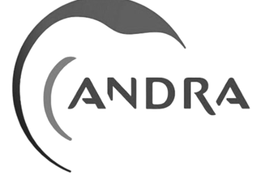 Andra