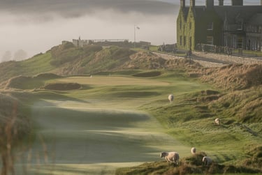 Misty morning at a luxury Scottish golf course with grazing sheep near an ivy-covered stone clubhouse.