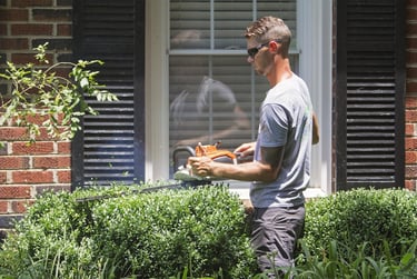 Professional shrub trimming and hedge pruning in Catawba County NC