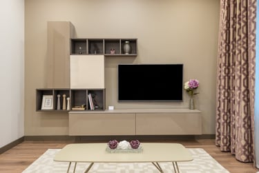 TV unit