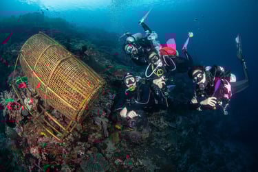 Scuba divers exploring a vibrant coral reef near a large bamboo fish trap underwater.