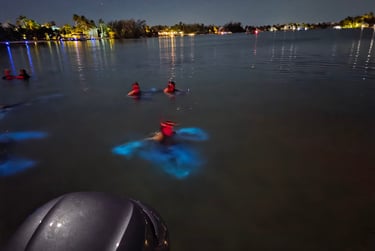 Bioluminescense Grand Cayman