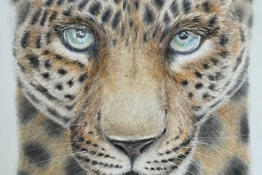 Leopard