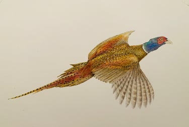 Bird portrait