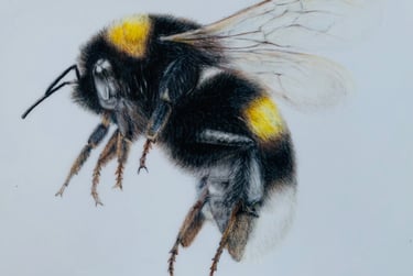 Bee