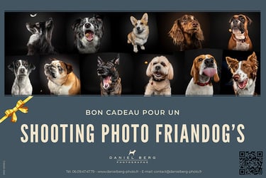 daniel berg photographe, chiens attrapant des friandises, friandogs, dogs catching treats, treats