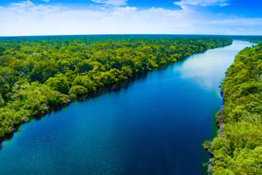 Preservation of the brazilian Amazon rainforest