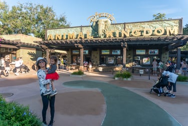 Disney's Animal Kingdom