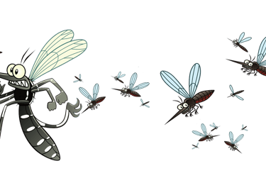 Insecticide à base de pyrèthre naturel