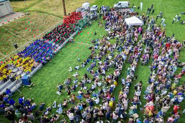 a large group of people standing in a field