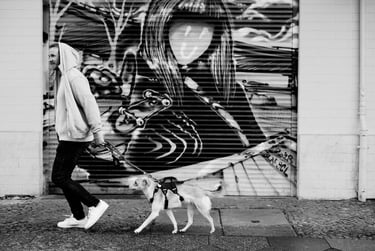 A man in a hoodie walking his dog in front of street art.