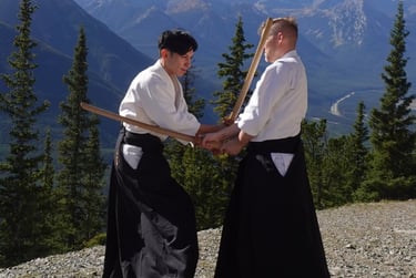 Aizu-den Ono-ha Itto Ryu - suppressing sword